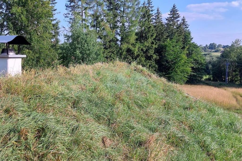 CHALET BORŮVKA - biofarma na samotě v lesích Benesov  Exterior foto