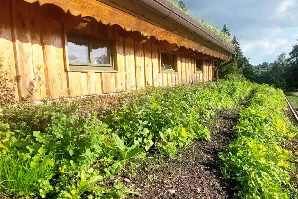 CHALET BORŮVKA - biofarma na samotě v lesích Benesov  Exterior foto
