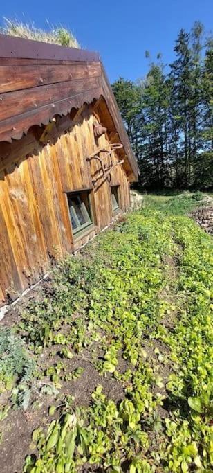 CHALET BORŮVKA - biofarma na samotě v lesích Benesov  Exterior foto