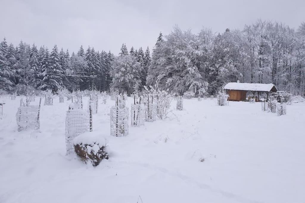 CHALET BORŮVKA - biofarma na samotě v lesích Benesov  Exterior foto