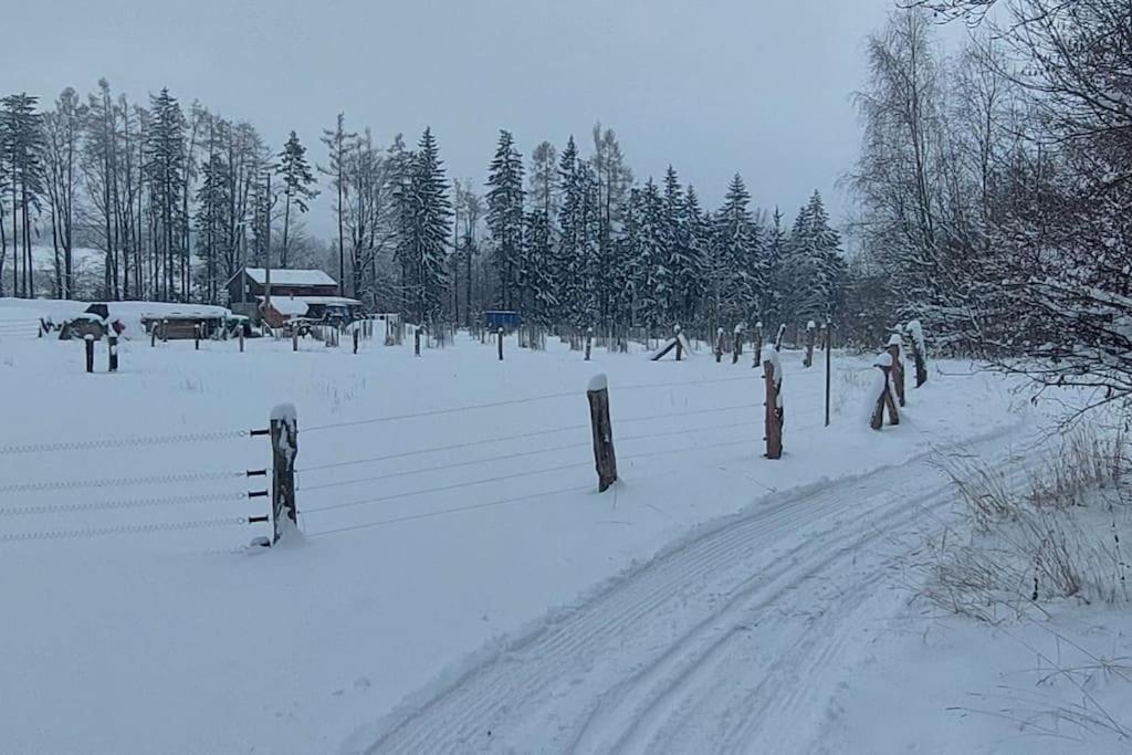 CHALET BORŮVKA - biofarma na samotě v lesích Benesov  Exterior foto