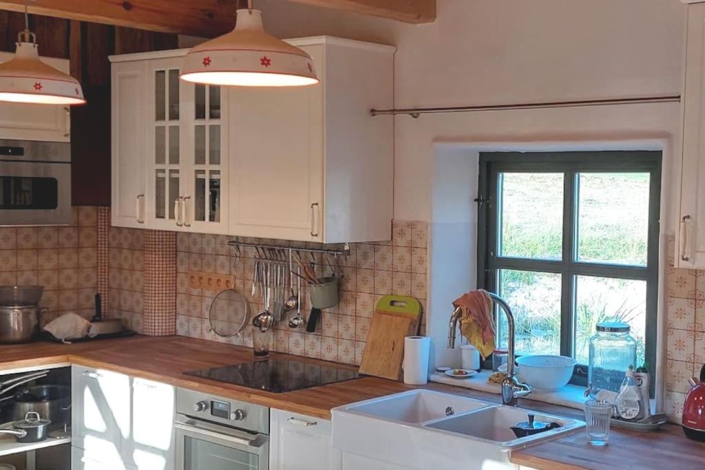 CHALET BORŮVKA - biofarma na samotě v lesích Benesov  Exterior foto
