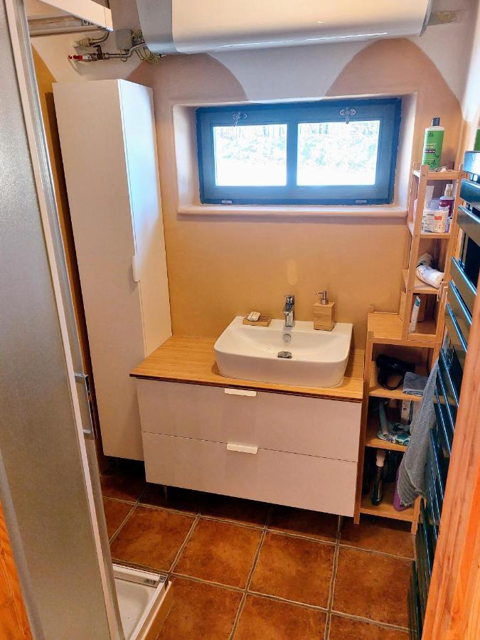 CHALET BORŮVKA - biofarma na samotě v lesích Benesov  Exterior foto