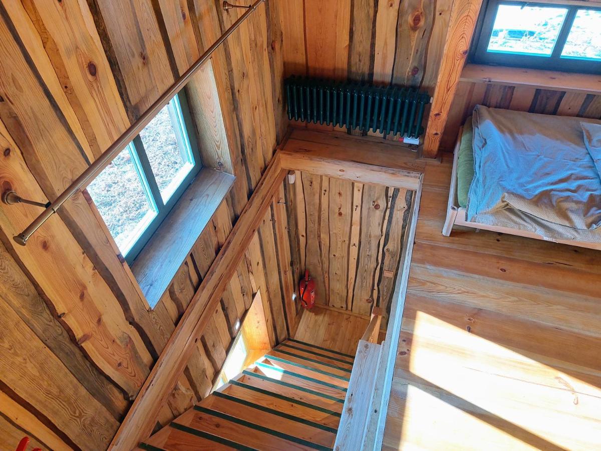 CHALET BORŮVKA - biofarma na samotě v lesích Benesov  Exterior foto